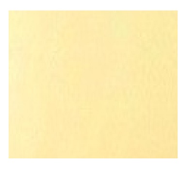 LAMB by G. Stefani Perfume (Women) Type Body Oils